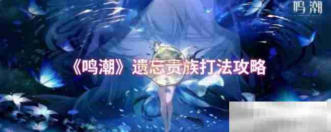 《鸣潮》遗忘贵族打法攻略