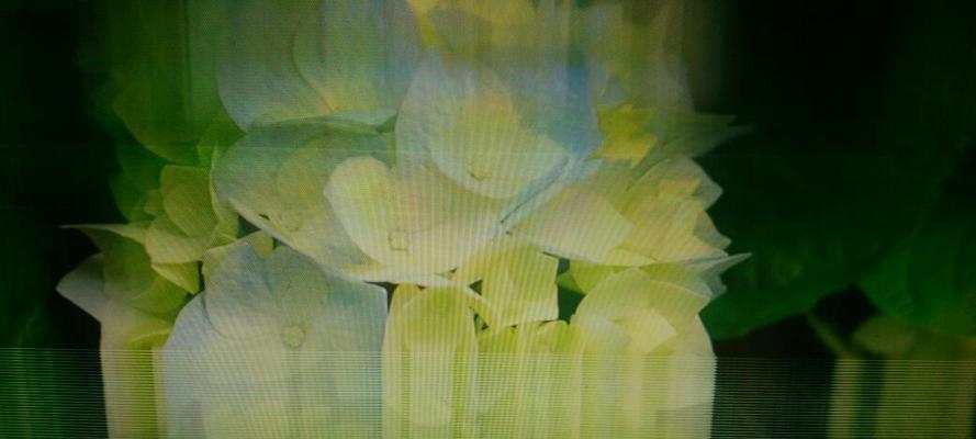 电脑屏幕跳动闪烁怎么回事(笔记本屏幕不停闪烁解决方法)