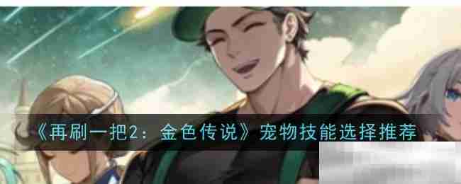 《再刷一把2：金色传说》宠物技能选择推荐