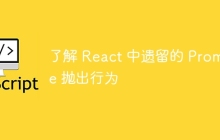 了解 React 中遗留的 Promise 抛出行为