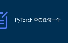 PyTorch 中的任何一个