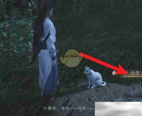 《燕云十六声》撸猫位置介绍