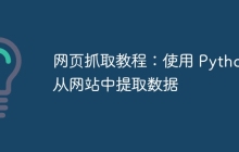 网页抓取教程：使用 Python 从网站中提取数据