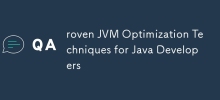 針對 Java 開發人員的 roven JVM 最佳化技術