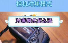如何将照片从Canon相机传输到手机（一步步教你实现高效快捷的照片传输）