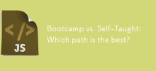 Bootcamp vs. Self-Taught: Which path is the best?
