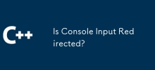 콘솔 입력이 리디렉션됩니까?