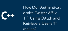 OAuth를 사용하여 Twitter API v1.1로 인증하고 사용자 타임라인을 검색하려면 어떻게 해야 합니까?
