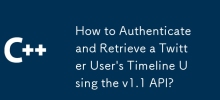 v1.1 API를 사용하여 Twitter 사용자의 타임라인을 인증하고 검색하는 방법은 무엇입니까?