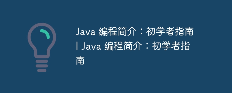 Java 编程简介:初学者指南 | Java 编程简介:初学者指南