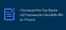 I Surveyed the Top Backend Frameworks Here&#s What I Found