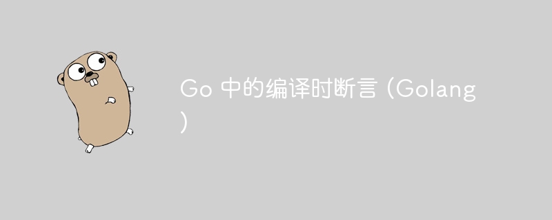 go 中的编译时断言 (golang)