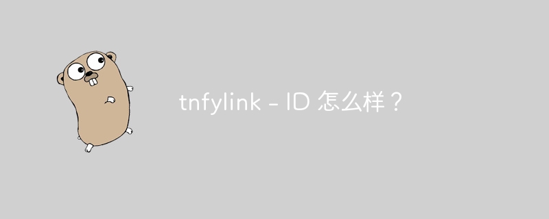 tnfylink - id 怎么样？