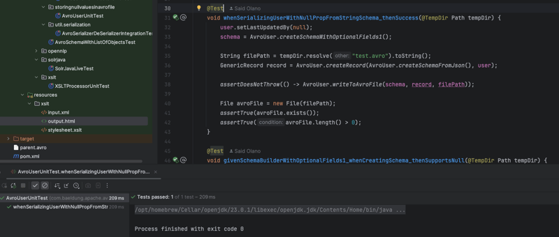 Java 与 Apache Avro 交互