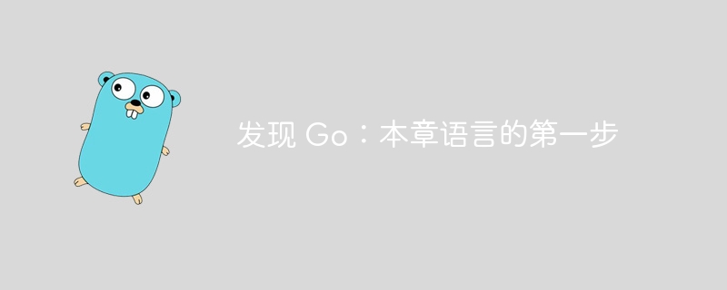 发现 go：本章语言的第一步