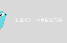 发现 Go：本章语言的第一步