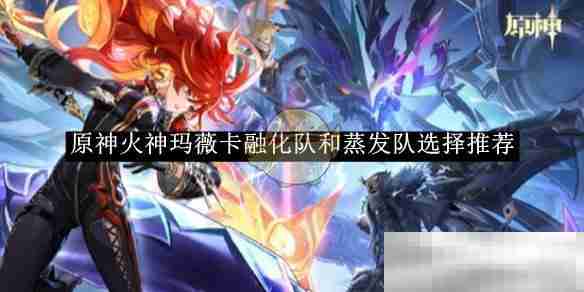《原神》火神玛薇卡融化队和蒸发队选择推荐