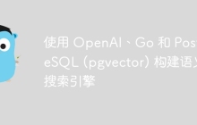 使用 OpenAI、Go 和 PostgreSQL (pgvector) 构建语义搜索引擎