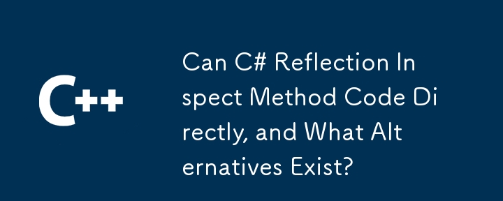 Kann C# Reflection Methodencode direkt prüfen und welche Alternativen gibt es?