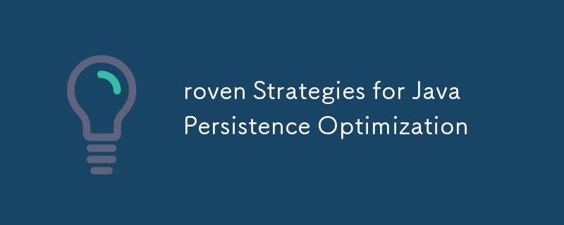 roven Strategies for Java Persistence Optimization