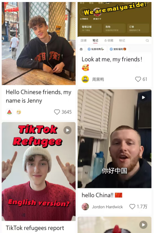 大批美国难民入侵小红书，第一批受害者笑疯！