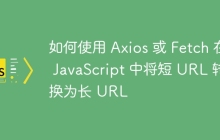 如何使用 Axios 或 Fetch 在 JavaScript 中将短 URL 转换为长 URL