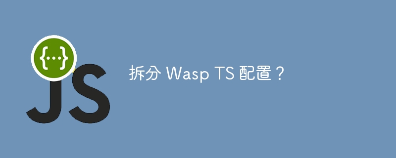 拆分 wasp ts 配置？