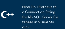 How Do I Retrieve the Connection String for My SQL Server Database in Visual Studio?