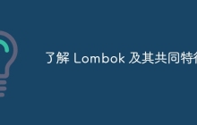 了解 Lombok 及其共同特征