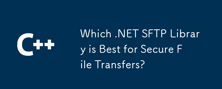 哪個 .NET SFTP 程式庫最適合安全檔案傳輸？