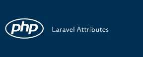 Laravel 属性