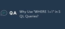 為什麼在 SQL 查詢中使用「WHERE 1=1」？