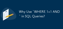 為什麼在 SQL 查詢中使用 `WHERE 1=1 AND `？