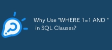 為什麼在 SQL 子句中使用「WHERE 1=1 AND」？