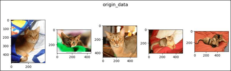 CenterCrop dalam PyTorch