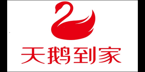 天鹅到家App怎么推广-天鹅到家开启热门推送方法介绍