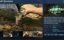冒险游戏《Bushcraft Simulator》Steam页面 发售日待定