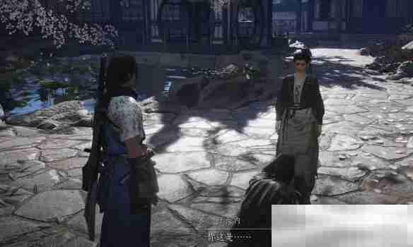 《燕云十六声》一药千金任务攻略