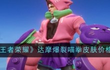 《王者荣耀》达摩爆裂喵拳皮肤价格