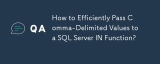 如何有效地將逗號分隔值傳遞給 SQL Server IN 函數？