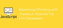 使用 Express.js 最大限度地提高效率：開發人員的基本技巧