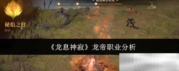 《龙息神寂》龙帝职业分析