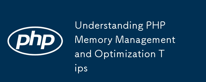 了解 PHP 内存管理和优化技巧