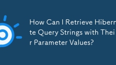 How Can I Retrieve Hibernate Query Strings with Their Parameter Values?