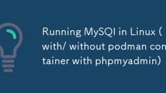 Running MySQl in Linux (with/ without podman container with phpmyadmin)