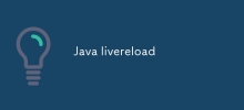 Java 即時重載