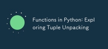 Python 中的函數：探索元組解包
