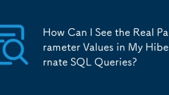 How Can I See the Real Parameter Values in My Hibernate SQL Queries?