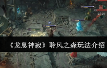 《龙息神寂》聆风之森玩法介绍