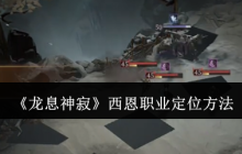 《龙息神寂》西恩职业定位方法